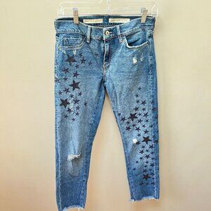 Pilcro & the Letterpress Embroidered Star Boyfriend Distressed Straight Jeans sz